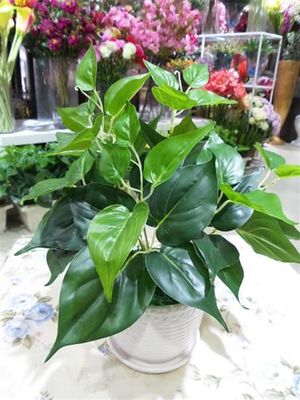 福州市臺江區心安花藝店 專業提供高仿真工程裝飾植物與草墻材料批發