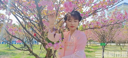 身著漢服踏歌行 岳陽(yáng)職院景觀工程中的中國(guó)風(fēng)設(shè)計(jì)與實(shí)踐