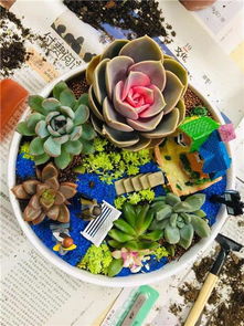 深圳花藝沙龍 以芬芳為紐帶，深化客戶情誼的聚會與花藝工程