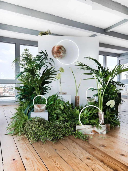 花藝工程中店鋪外包裝的必要性 美學(xué)、品牌與商業(yè)價(jià)值的融合